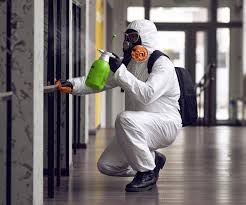 Why You Should Choose Our Mold Remediation Services in Ansted, WV